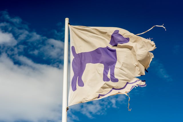 El poder del logotipo: cómo diseñar un símbolo que represente tu marca Simbolismo animal